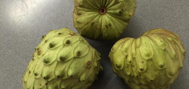 cherimoya